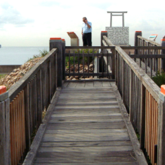 Timothy Williams & Assoc for Molineux Point, Port Botany