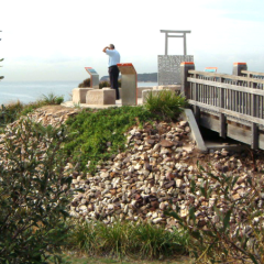 Timothy Williams & Assoc for Molineux Point, Port Botany