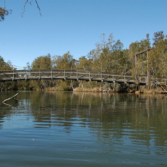 Warwick-Donnelly-Pty-Ltd-for-Chain-Valley-Bay-Suspension-Bridge-_-Boardwalks-1