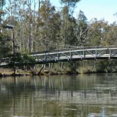 Warwick-Donnelly-Pty-Ltd-for-Chain-Valley-Bay-Suspension-Bridge-_-Boardwalks-2