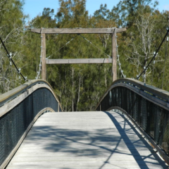 Warwick-Donnelly-Pty-Ltd-for-Chain-Valley-Bay-Suspension-Bridge-_-Boardwalks-4