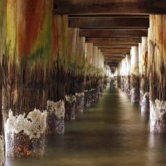 Princes Pier, Melbourne VIC Australia