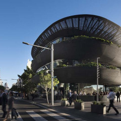 Barangaroo-Houseby-Collins-and-Turner-Architects-7