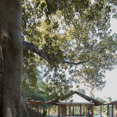 Cabarita-Park-Conservatory-by-Sam-Crawford-Architects-2