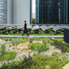 Damaru House, Barangaroo - TZANNES and Lendlease